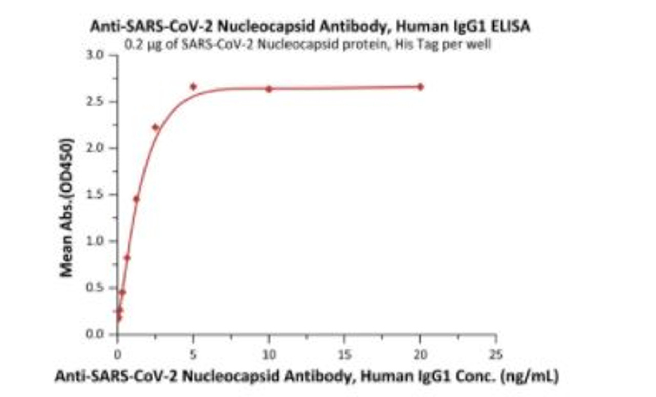 Immobilized SARS-CoV-2 Nucleocapsid protein, His Tag at 2 ug/mL (100 uL/well) can bind Anti-SARS-CoV-2 Nucleocapsid Antibody, Human IgG1 with a linear range of 0.08-1.2 ng/mL (QC tested) .