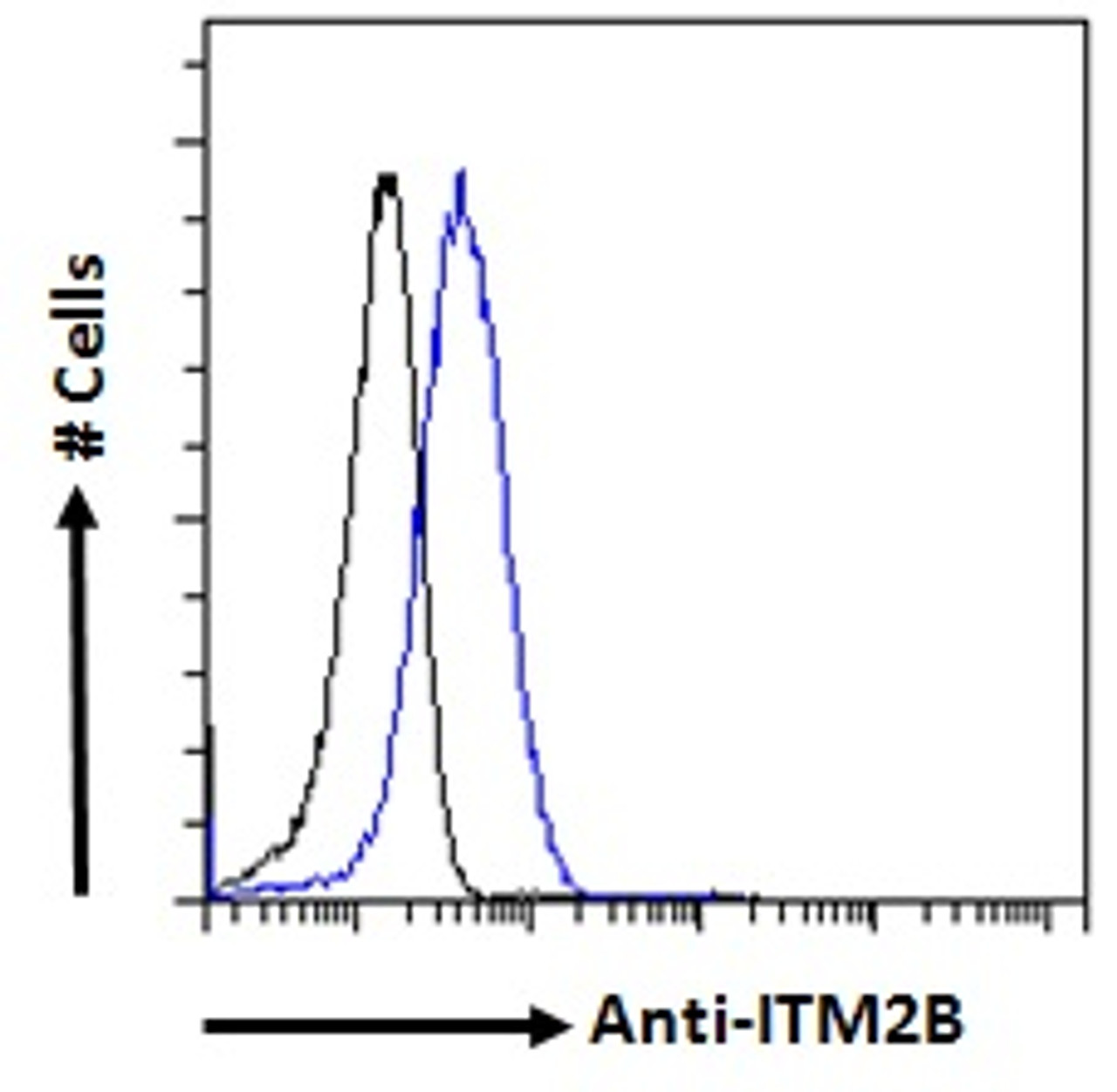 42-073 Immunofluorescence analysis of paraformaldehyde fixed A431 cells, permeabilized with 0.15% Triton. Primary incubation 1hr (10ug/ml) followed by Alexa Fluor 488 secondary antibody (2ug/ml) , showing Golgi apparatus and cytoplasmic staining. The nucl