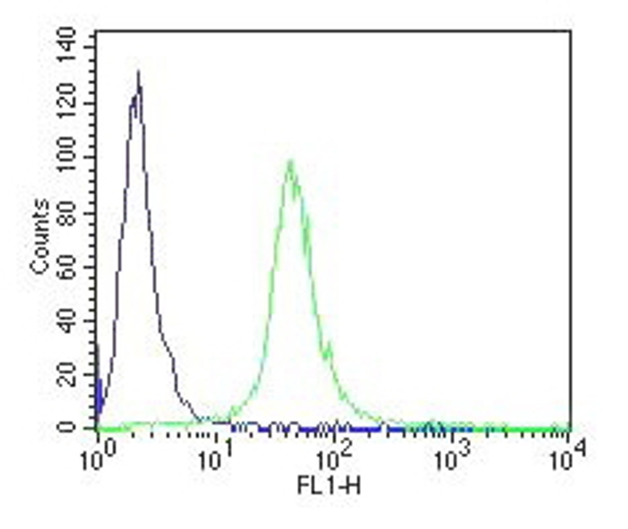 43-084 (0.03ug/ml) staining of NIH3T3 (A) , Mouse Testis (B) and Rat Testis (C) lysates (35ug protein in RIPA buffer) . Primary incubation was 1 hour. Detected by chemiluminescence.