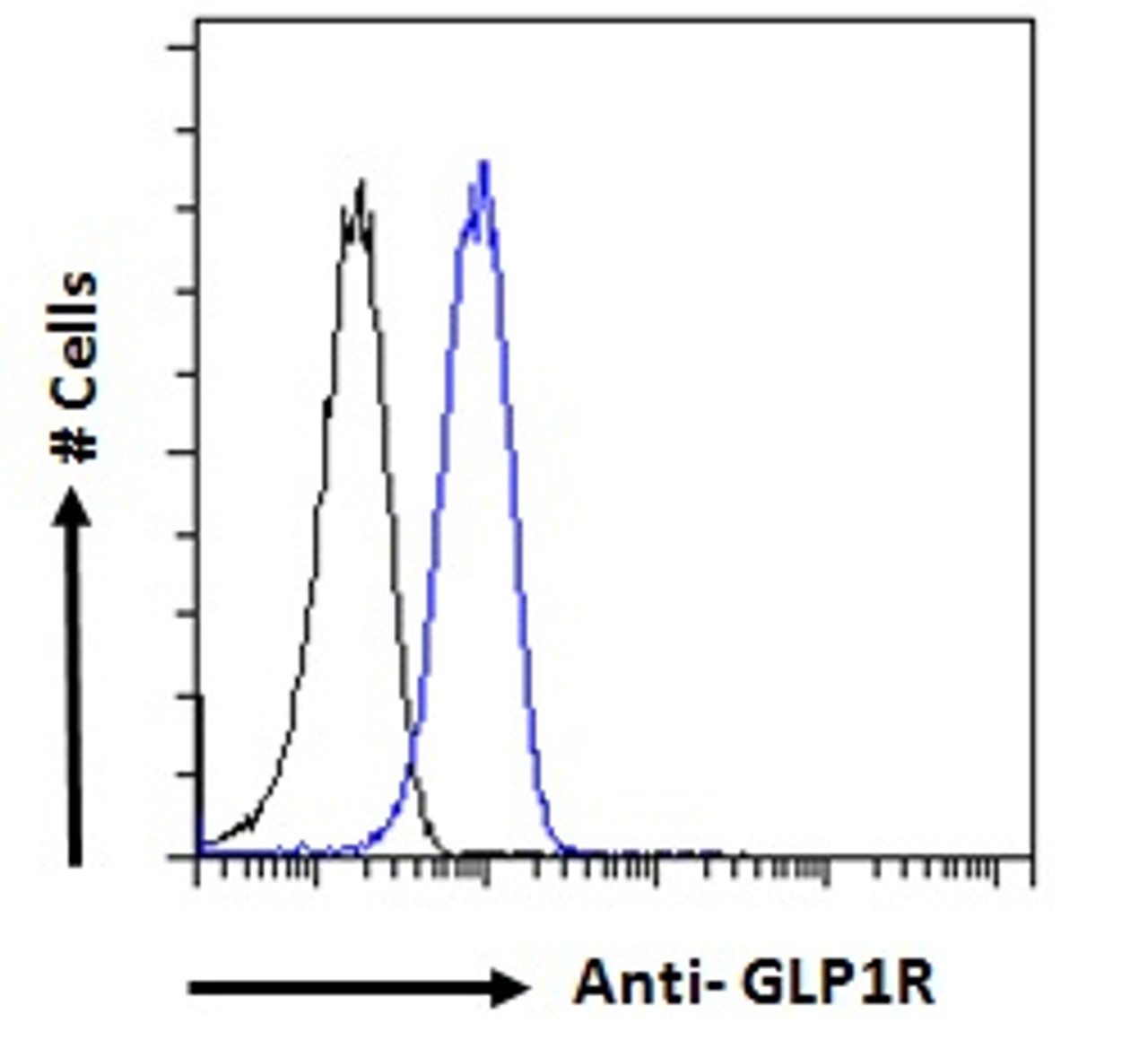 43-437 (1ug/ml) staining of Cerebral Cortex lysate (35ug protein in RIPA buffer) . Primary incubation was 1 hour. Detected by chemiluminescence.