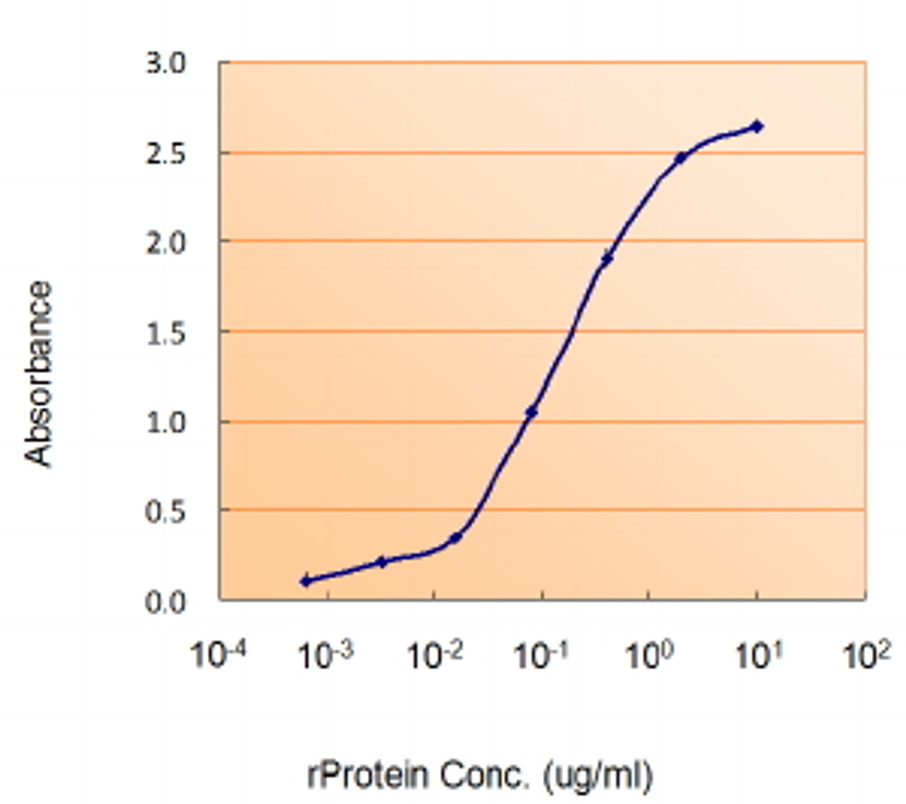 45-170 (0.01ug/ml) staining of Human Ovary lysate (35ug protein in RIPA buffer) . Detected by chemiluminescence.