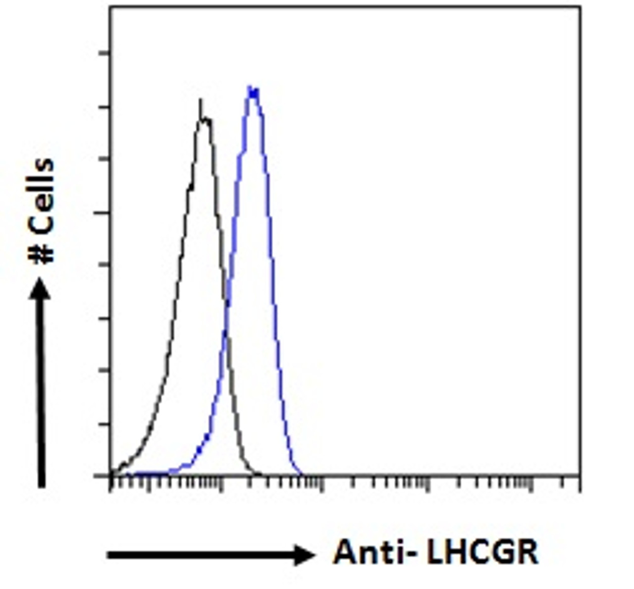 45-216 (0.2ug/ml) staining o fHuman Liver (A) + peptide (B) , Mouse Liver (C) + peptide (D) lysate (35ug protein in RIPA buffer) . Detected by chemiluminescence.