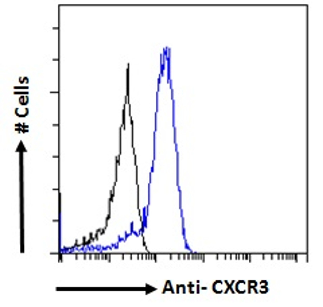 45-439 Immunofluorescence analysis of paraformaldehyde fixed A431 cells, permeabilized with 0.15% Triton. Primary incubation 1hr (10ug/ml) followed by Alexa Fluor 488 secondary antibody (2ug/ml) , showing membrane staining. The nuclear stain is DAPI (blue