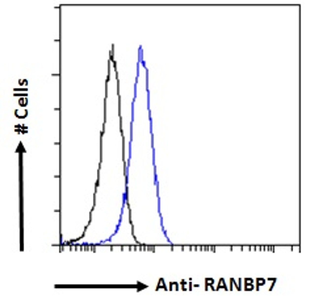 45-770 Flow cytometric analysis of paraformaldehyde fixed HeLa cells (blue line) , permeabilized with 0.5% Triton. Primary incubation 1hr (10ug/ml) followed by Alexa Fluor 488 secondary antibody (1ug/ml) . IgG control: Unimmunized goat IgG (black line) fol