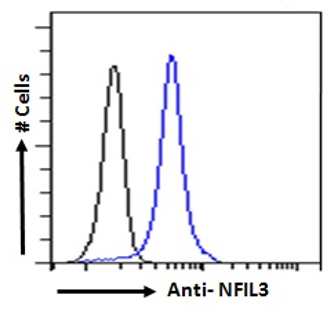 45-965 Flow cytometric analysis of paraformaldehyde fixed Human peripheral blood mononuclear cells (blue line) , permeabilized with 0.5% Triton. Primary incubation 1hr (10ug/ml) followed by Alexa Fluor 488 secondary antibody (2ug/ml) . IgG control: Unimmun