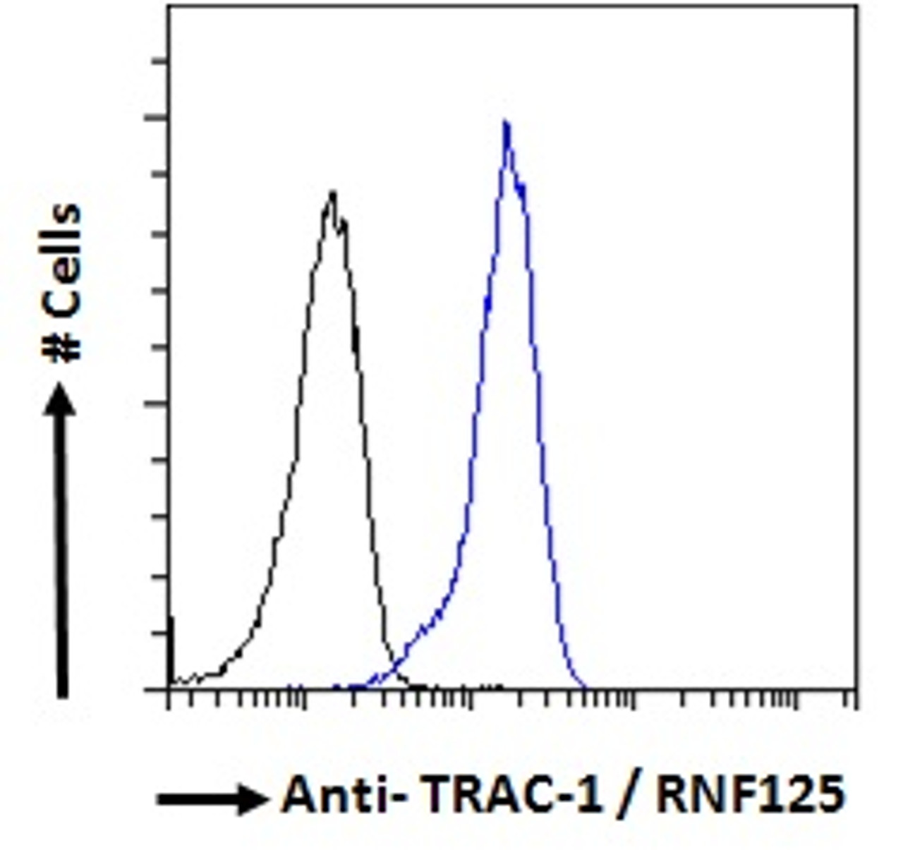46-303 Flow cytometric analysis of paraformaldehyde fixed HeLa cells (blue line) , permeabilized with 0.5% Triton. Primary incubation 1hr (10ug/ml) followed by Alexa Fluor 488 secondary antibody (1ug/ml) . IgG control: Unimmunized goat IgG (black line) fol