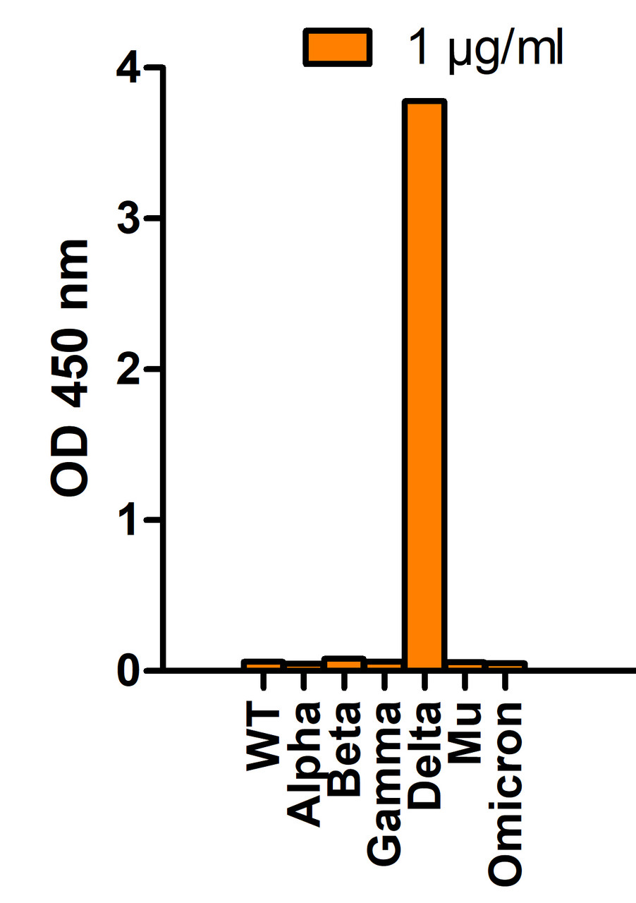 <strong>Figure 1 SARS-Cov-2 Spike P681R (Delta Variant) Antibodies Specifically Detect Delta Variant Spike S1 Protein in an ELISA </strong><br>
Coating Antigen: SARS-CoV-2 spike S1 proteins WT, alpha variant (B.1.1.7) , beta variant (B.1.351) , gamma variant (P.1) , delta variant (B.1.617.2) , mu variant (B.1.621) , and omicron variant (B.1.1.529) , 1 &#956;g/mL, incubated at 4 &#730;C overnight.
Detection Antibodies: SARS-CoV-2 Spike P681R (Delta Variant) antibody, PM-9677, 1 &#956;g/mL, incubated at RT for 1 hr.
Secondary Antibodies: Goat anti-mouse HRP at 1:5, 000, incubated at RT for 1 hr.