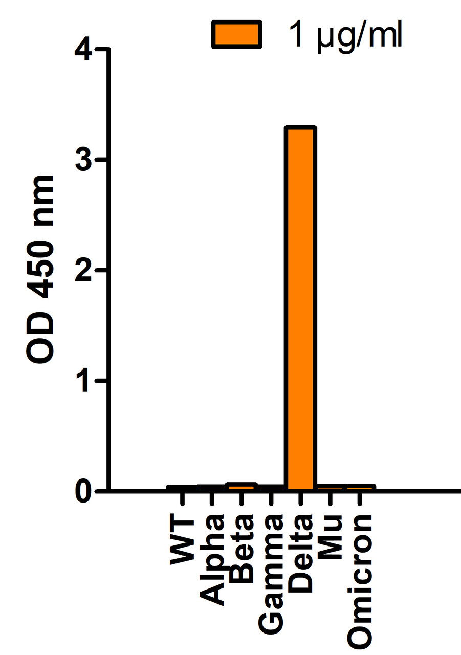 <strong>Figure 1 SARS-Cov-2 Spike P681R (Delta Variant) Antibodies Specifically Detect Delta Variant Spike S1 Protein in an ELISA </strong><br>
Coating Antigen: SARS-CoV-2 spike S1 proteins WT, alpha variant (B.1.1.7) , beta variant (B.1.351) , gamma variant (P.1) , delta variant (B.1.617.2) , mu variant (B.1.621) , and omicron variant (B.1.1.529) , 1 &#956;g/mL, incubated at 4 &#730;C overnight.
Detection Antibodies: SARS-CoV-2 Spike P681R (Delta Variant) antibody, PM-9680, 1 &#956;g/mL, incubated at RT for 1 hr.
Secondary Antibodies: Goat anti-mouse HRP at 1:5, 000, incubated at RT for 1 hr.