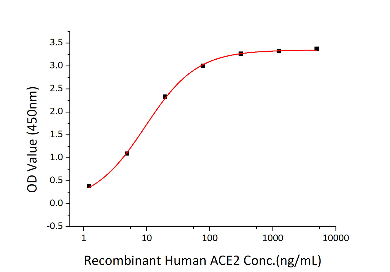 Immobilized SARS-CoV-2 (COVID-19) spike RBD recombinant protein at 2;g/mL (100 ;L/well) can bind recombinant human ACE2 with a linear range of 1.5-9.4 ng/mL.