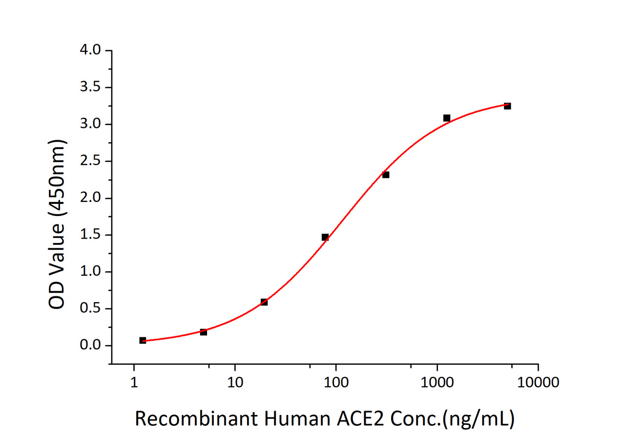Immobilized SARS-CoV-2 (COVID-19) S1+S2 ECD (S-ECD) recombinant protein at 2;g/mL (100 ;L/well) can bind recombinant human ACE2 with a linear range of 1.5-115.4 ng/mL.