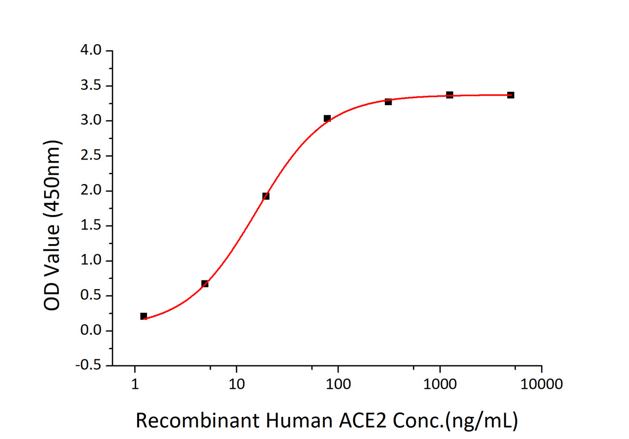 Immobilized SARS-CoV-2 (COVID-19) spike S1 recombinant protein at 2;g/mL (100 ;L/well) can bind recombinant human ACE2 with a linear range of 1.5-15 ng/mL.