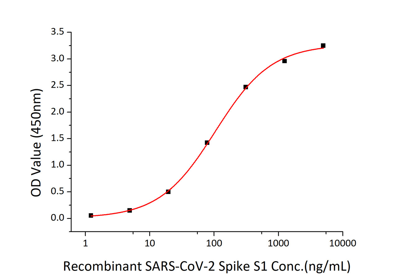 Immobilized human ACE2 recombinant protein at 2;g/mL (100 ;L/well) can bind recombinant SARS-CoV-2 (COVID-19) spike S1 with a linear range of 1.5-104.5ng/mL.