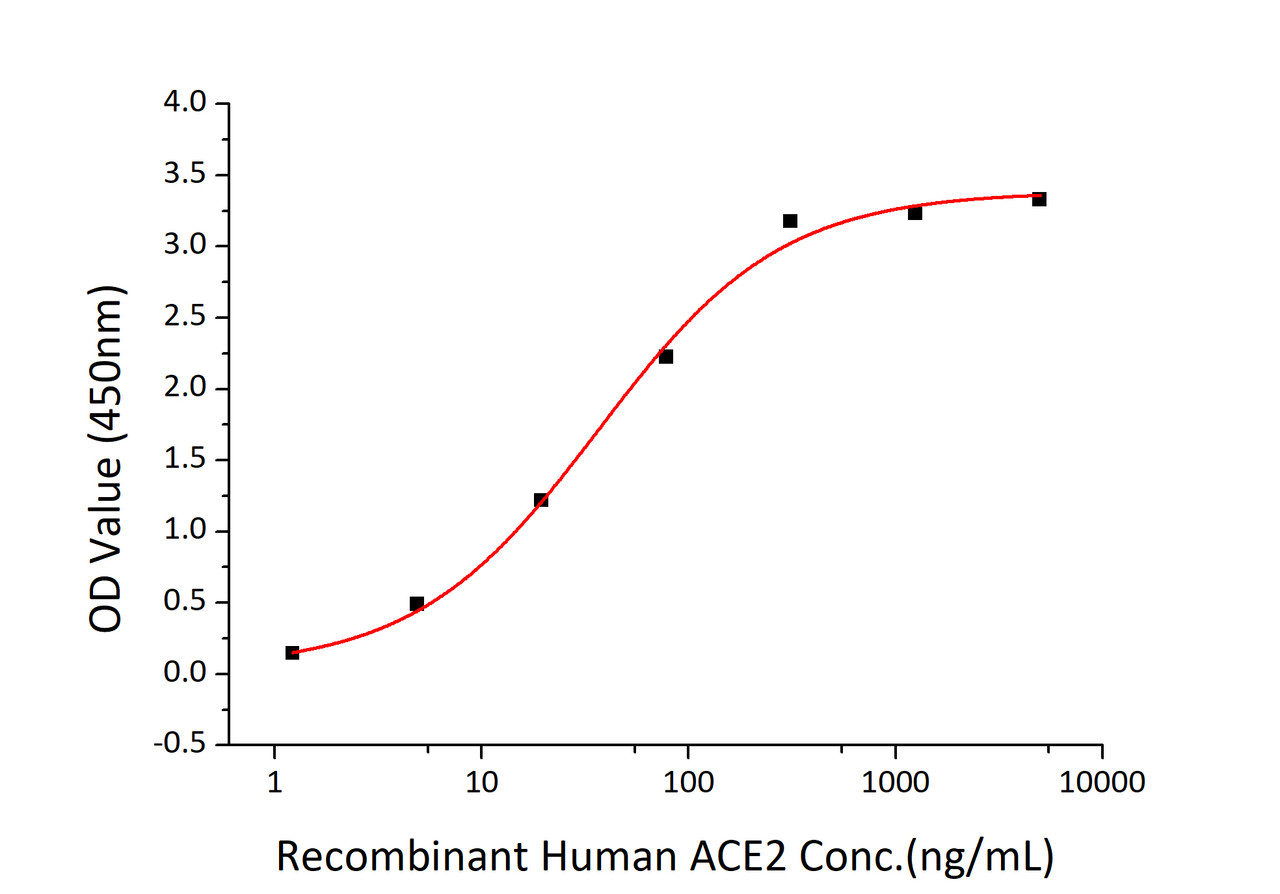 Immobilized SARS-CoV-2 (COVID-19) spike S1 recombinant protein at 2;g/mL (100 ;L/well) can bind recombinant human ACE2 with a linear range of 1.5-36.5 ng/mL.