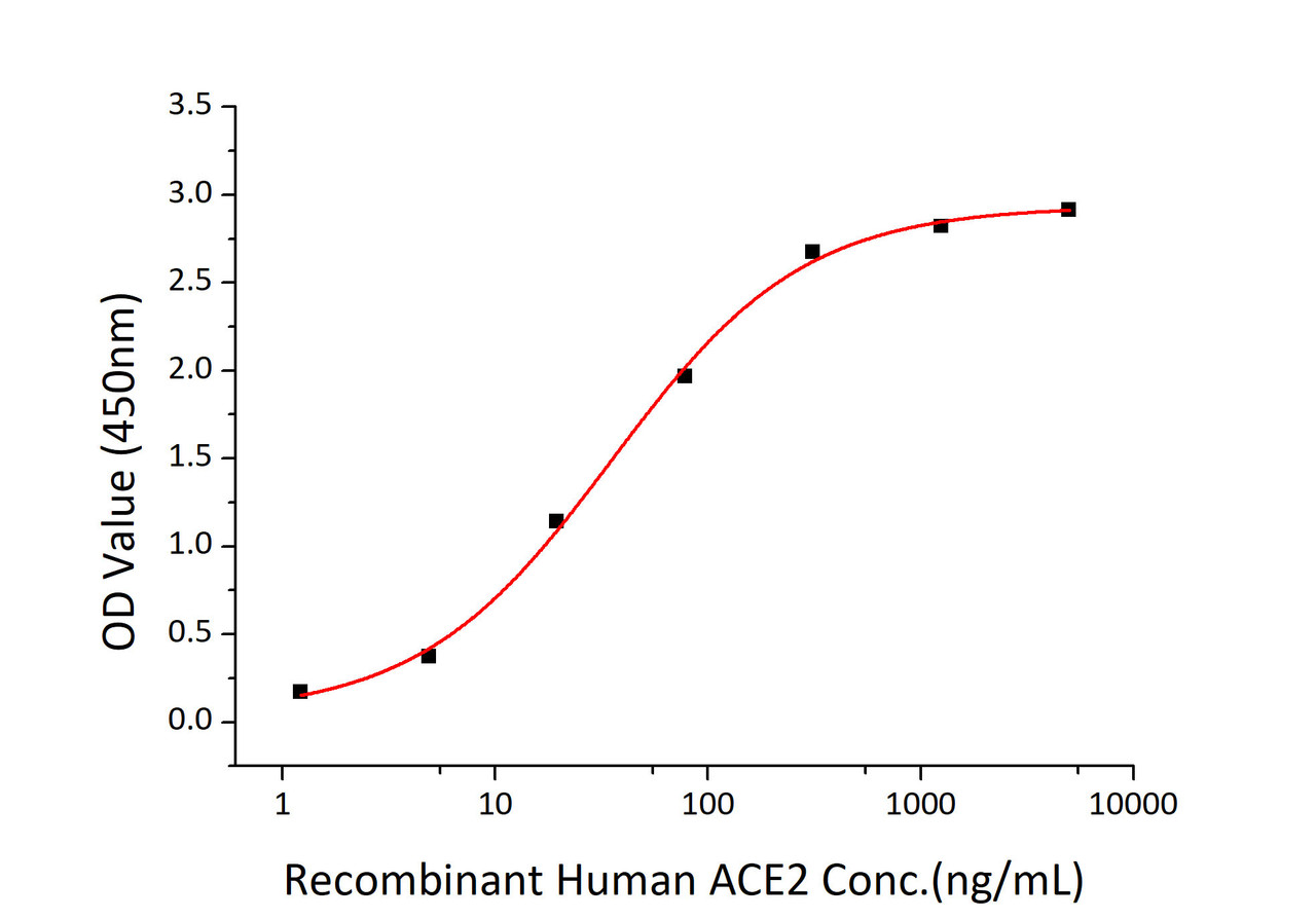 Immobilized SARS-CoV-2 (COVID-19) S1+S2 ECD (S-ECD) recombinant protein at 2;g/mL (100 ;L/well) can bind recombinant human ACE2 with a linear range of 1.5-35.1 ng/mL.