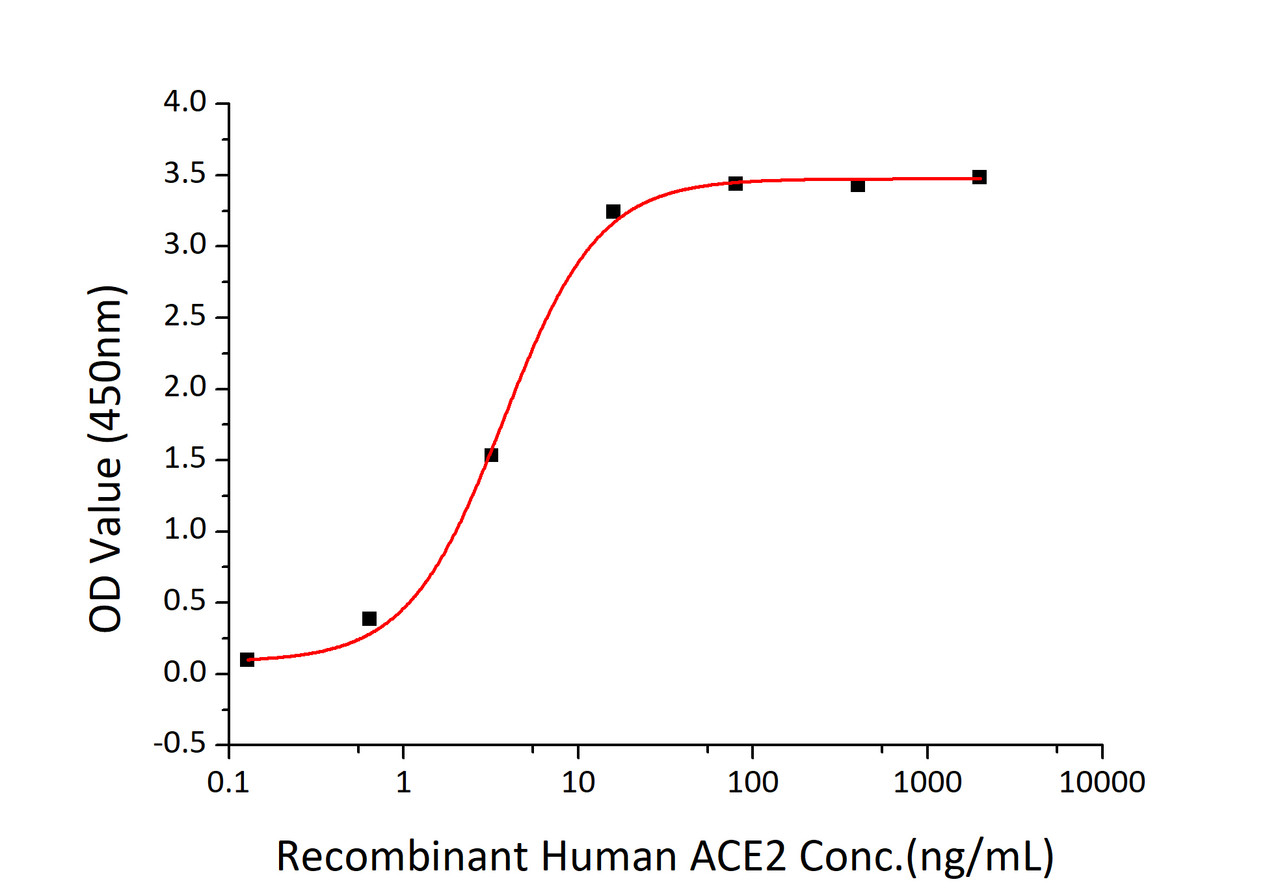 Immobilized SARS-CoV-2 S1+S2 ECD (S-ECD) at 2;g/mL (100 ;L/well) can bind recombinant Human ACE2 with a linear range of 0.15-3.72 ng/mL.