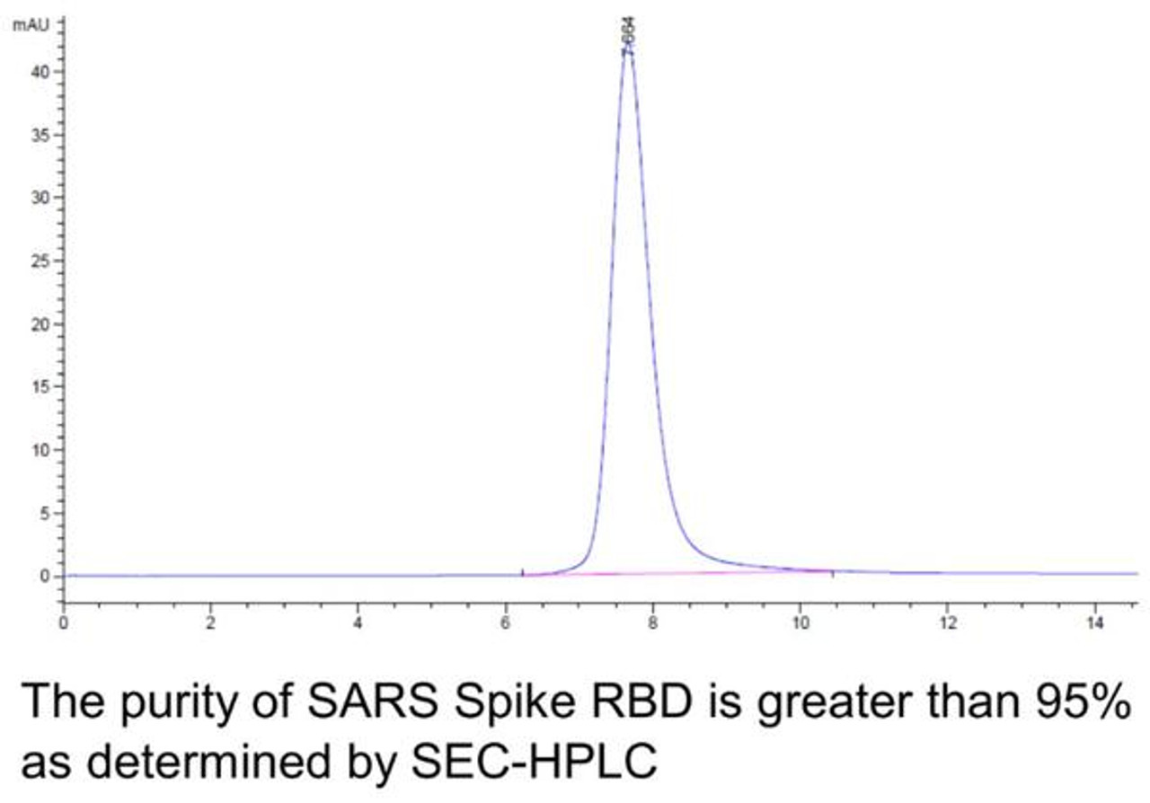 SARS Spike RBD Recombinant Protein | 10-211