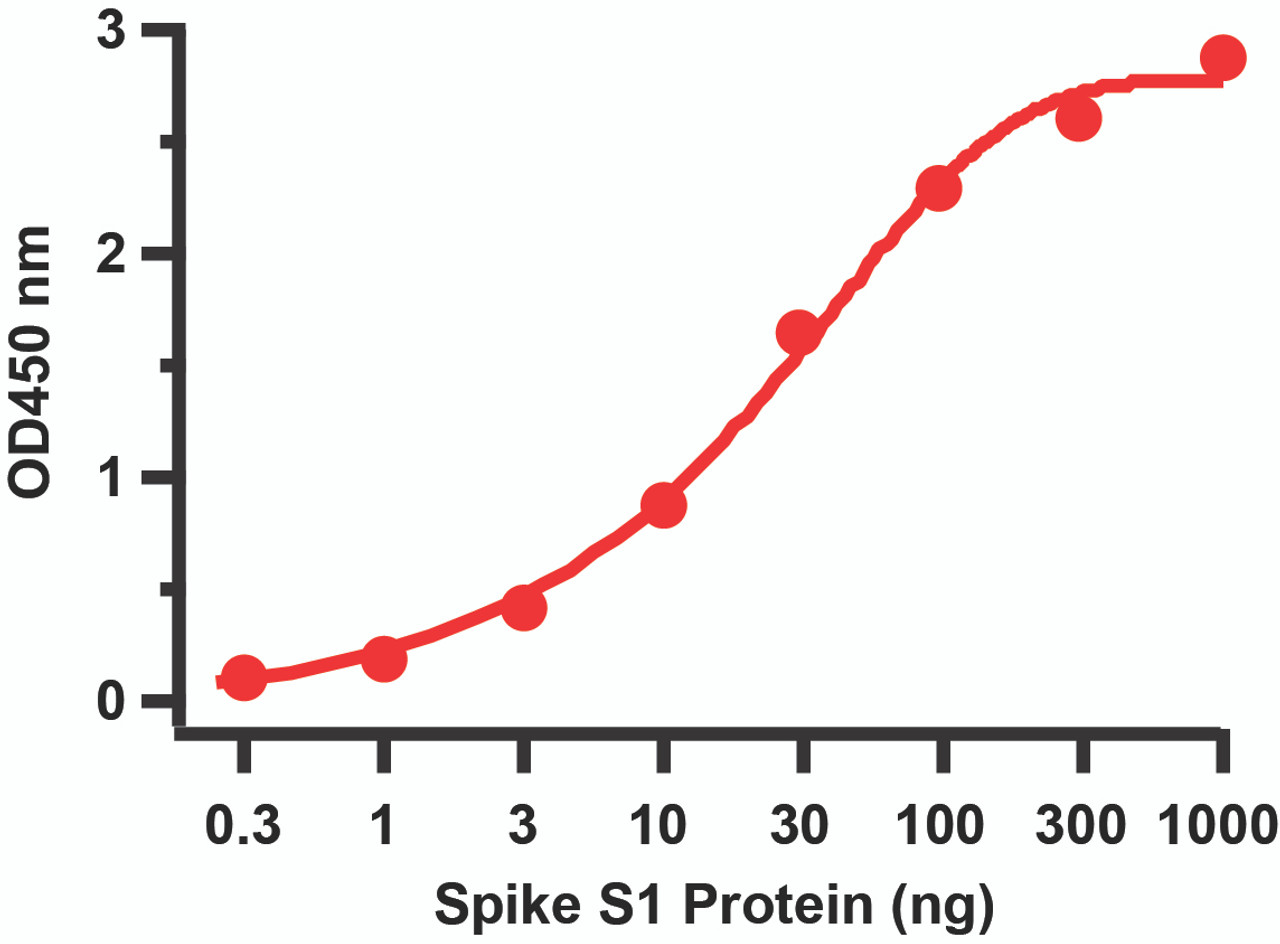 ELISA Validation of SARS-CoV-2 (COVID-19) Spike S1 Recombinant ProteinCoating Antigen: SARS-CoV-2 (COVID-19) Spike S1 recombinant protein (10-300) from 0.3 ng to 1000 ng. Capture Antibody: SARS-CoV-2 (COVID-19) Spike S1 antibody, 9091 (1 ;g/mL) . Secondary: Goat anti-rabbit IgG HRP conjugate at 1:20000 dilution.
