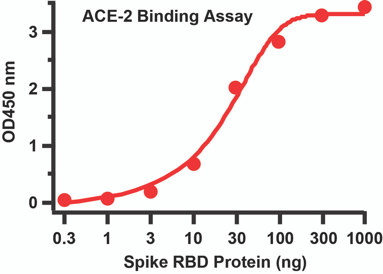 Binding Assay of ACE2 and SARS-CoV-2 (COVID-19) Spike RBD Recombinant ProteinCoating: SARS-CoV-2 (COVID-19) Spike RBD recombinant protein (10-303) from 0.3 ng to 1000 ng. Capture: ACE2 recombinant protein, 10-120 (0.5 ;g/mL) . Secondary: Goat anti-human IgG HRP conjugate at 1:10000 dilution.