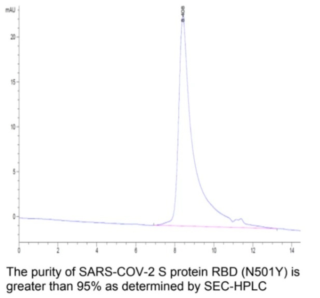 The purity of SARS-COV-2 S protein RBD (N501Y) is greater than 95% as determiend by SEC-HPLC.