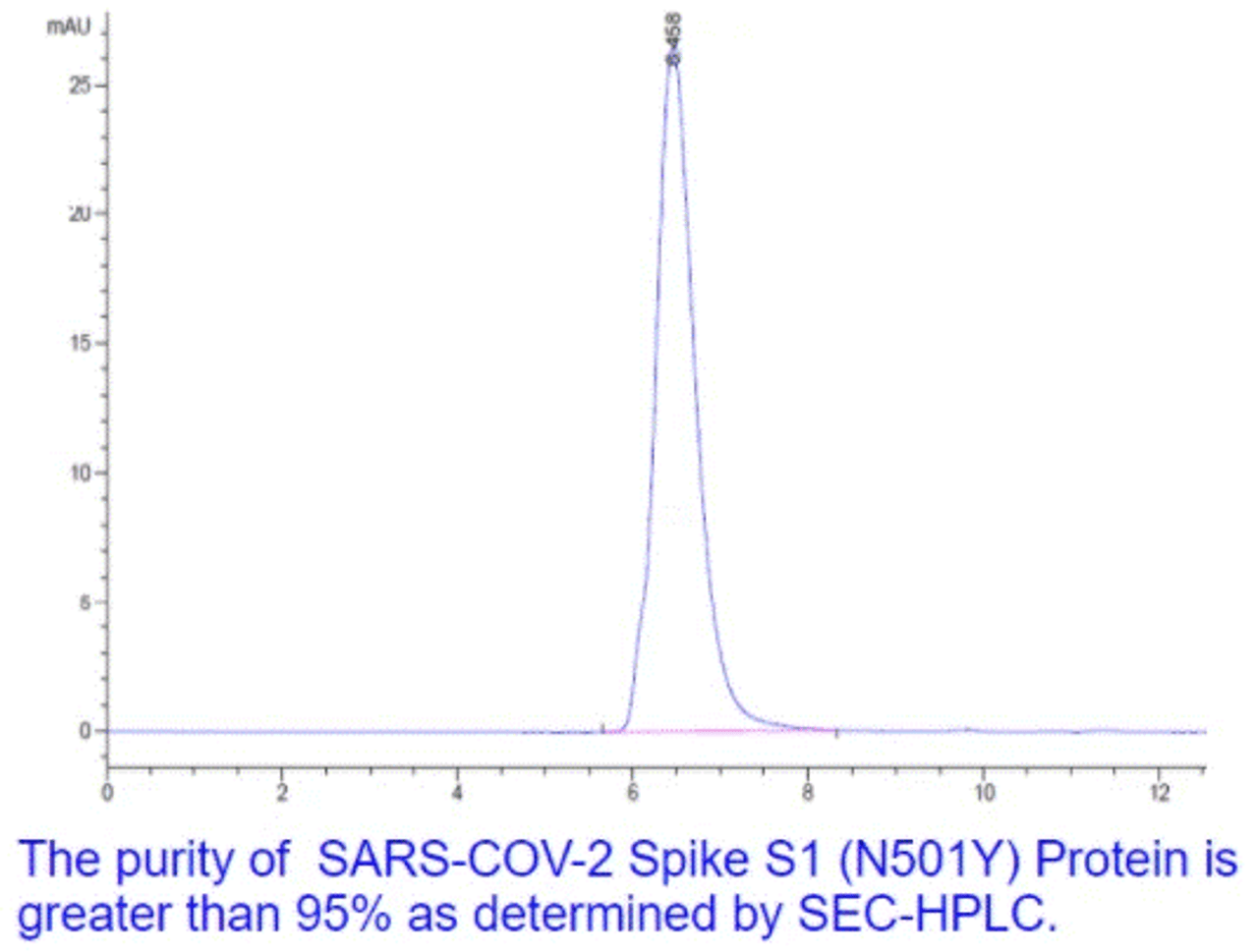 The purity of SARS-COV-2 S protein Spike S1 (N501Y) is greater than 95% as determiend by SEC-HPLC.
