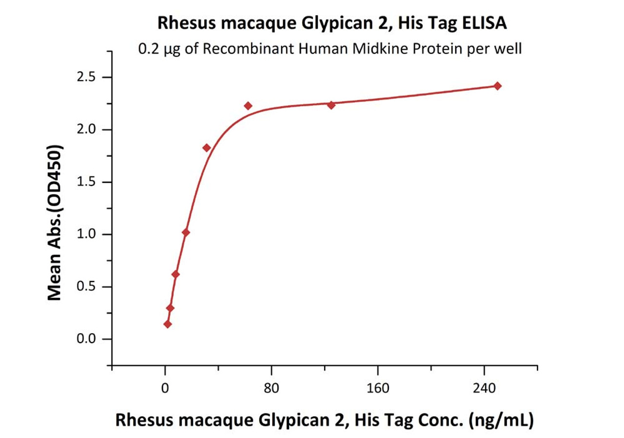 Immobilized Recombinant Human Midkine Protein at 2 ug/mL (100 uL/well) can bind Rhesus macaque Glypican 2, His Tag with a linear range of 2-31 ng/mL (QC tested) .