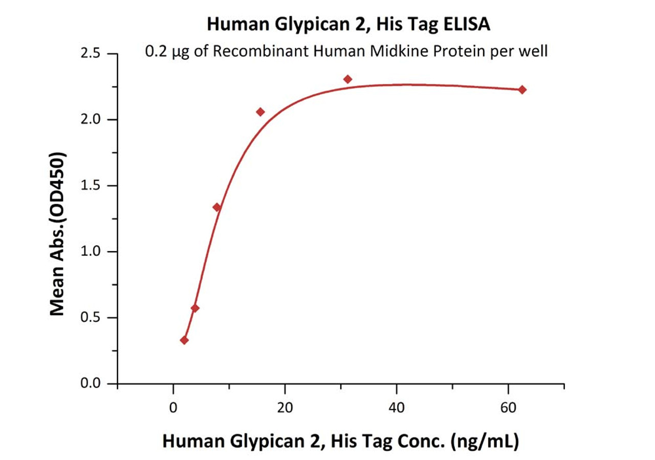 Immobilized Recombinant Human Midkine Protein at 2 ug/mL (100 uL/well) can bind Human Glypican 2, His Tag with a linear range of 2-16 ng/mL (QC tested) .