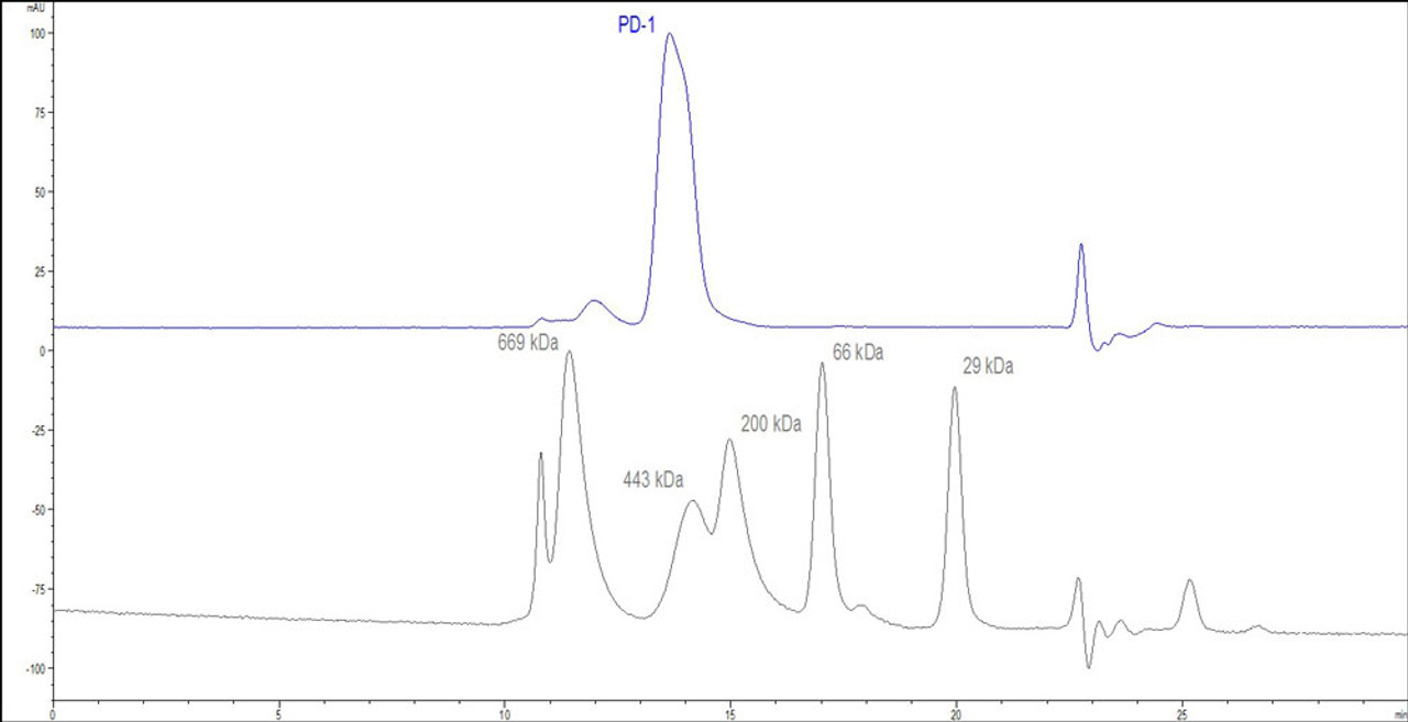 The purity of Human PD-1, Mouse IgG2a Fc Tag (HPLC-verified) was greater than 90% as determined by SEC-HPLC.