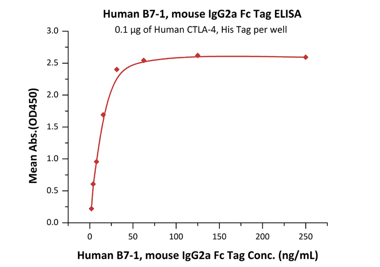 Immobilized Human CTLA-4, His Tag at 1 ug/mL (100 uL/well) can bind Human B7-1, Mouse IgG2a Fc Tag, low endotoxin with a linear range of 2-31 ng/mL (QC tested) .