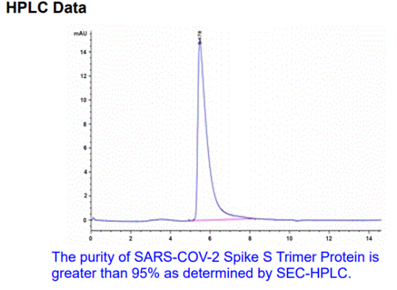 The purity of SARS-CoV-2 (COVID-19) Spike S Trimer is greater than 95% as determiend by SEC-HPLC.