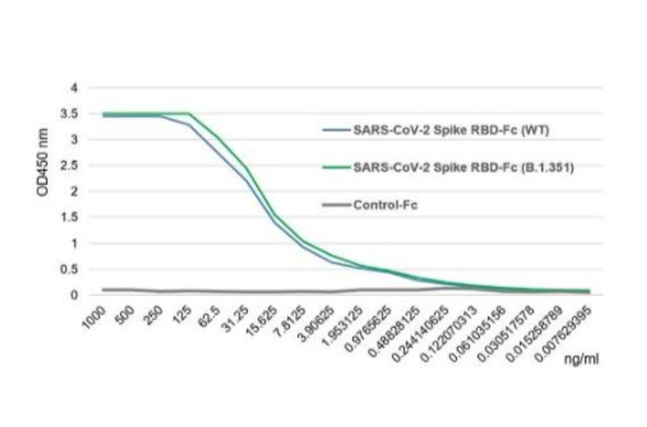 SARS-CoV-2 Spike Protein S1 (RBD) :Fc (human) (rec.) (B.1.351 Variant, SA) binds to the receptor ACE2 (human) (rec.) slightly stronger than SARS-CoV-2 Spike Protein S1 (RBD) :Fc (human) (rec.) (WT) .