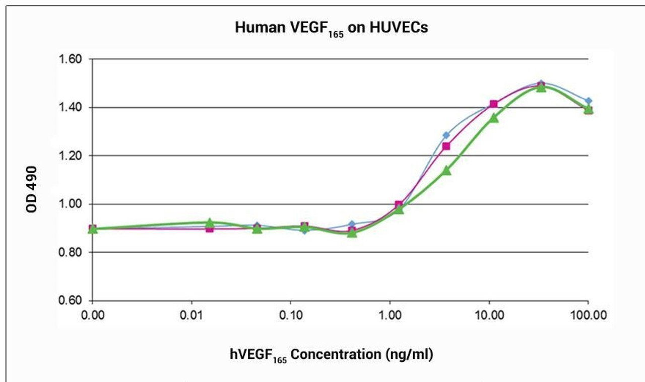 Biological activity was determined by the dose - dependent stimulation of the proliferation of human umbilical vein endothelial cells (HUVEC) using a concentration range of 1.0 - 8.0 ng/mL.<br><br> Blue= VEGF165 Rec Protein (Cat No: 40-162) <br>Pink= WHO Human VEGF Rec Protein<br>Green= VEGF121 Rec Protein (Animal Free) (Cat No: 40-612)