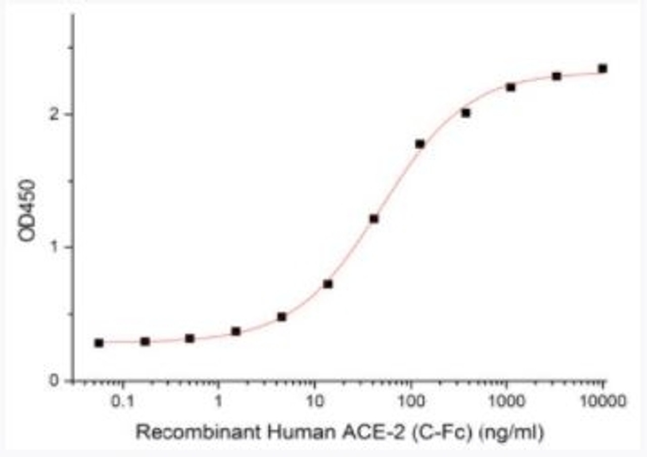 Immobilized 2019-nCoV S1 Protein (Cat#92-731) at 2ug/ml (100 ul/well) can bind Human ACE-2-Fc . The ED50 of Human ACE-2-Fc is 15-150 ng/ml.