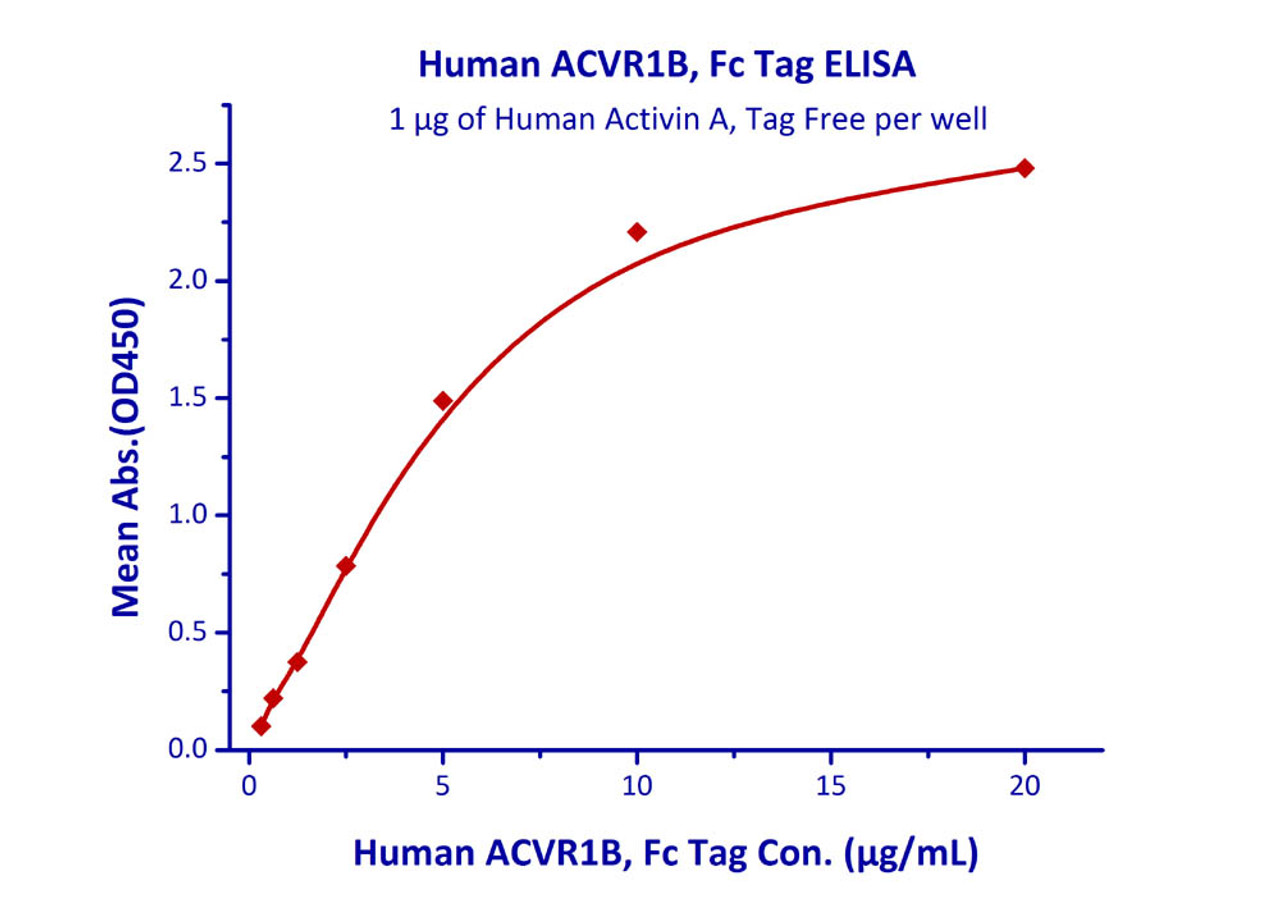 Immobilized Human Activin A, Tag Free at 10 ug/mL (100 uL/well) can bind Human ACVR1B, Fc Tag with a linear range of 0.3-2.5 ug/mL.