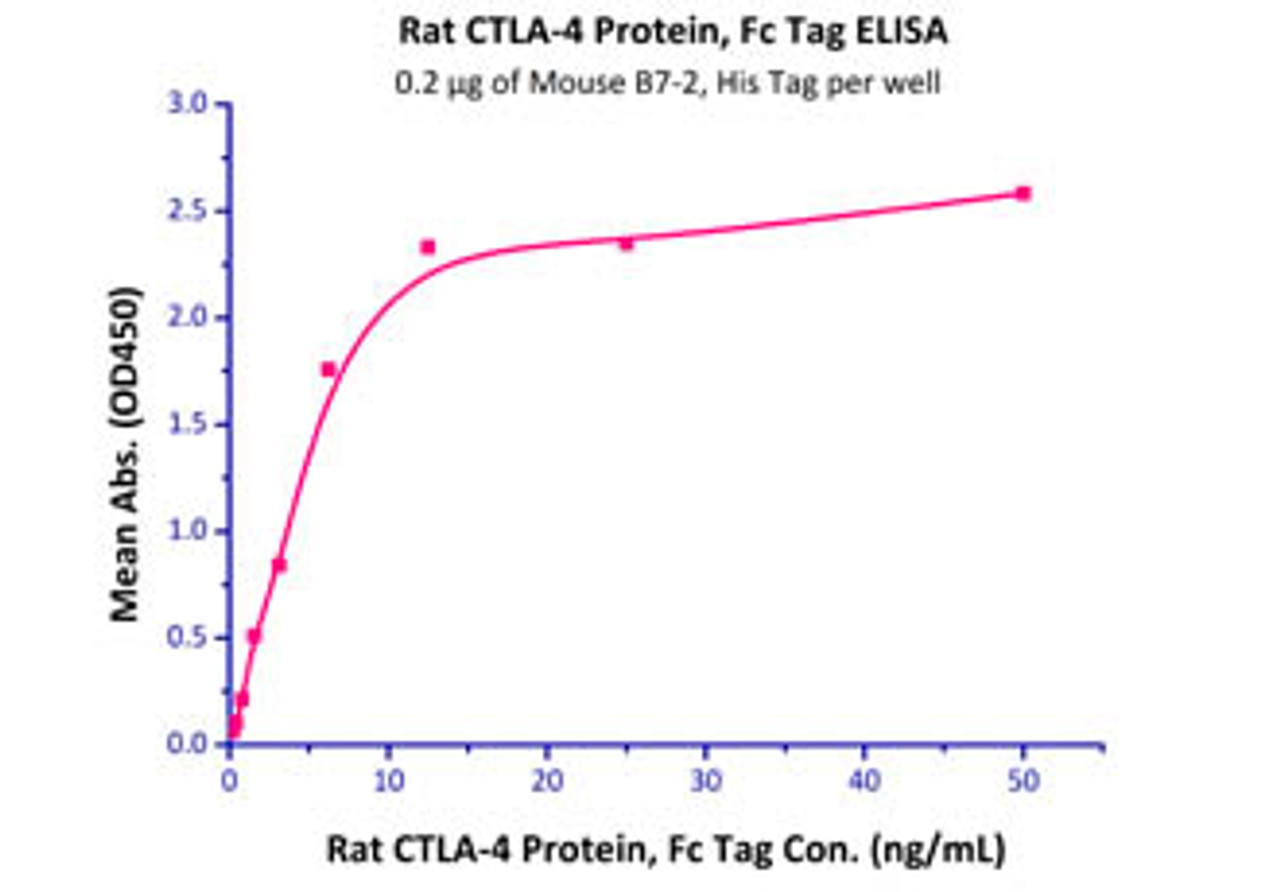 Immobilized Mouse B7-2, His Tag at 2 ug/mL (100 uL/well) can bind Rat CTLA-4, Fc Tag with a linear range of 0.2-6 ng/mL.