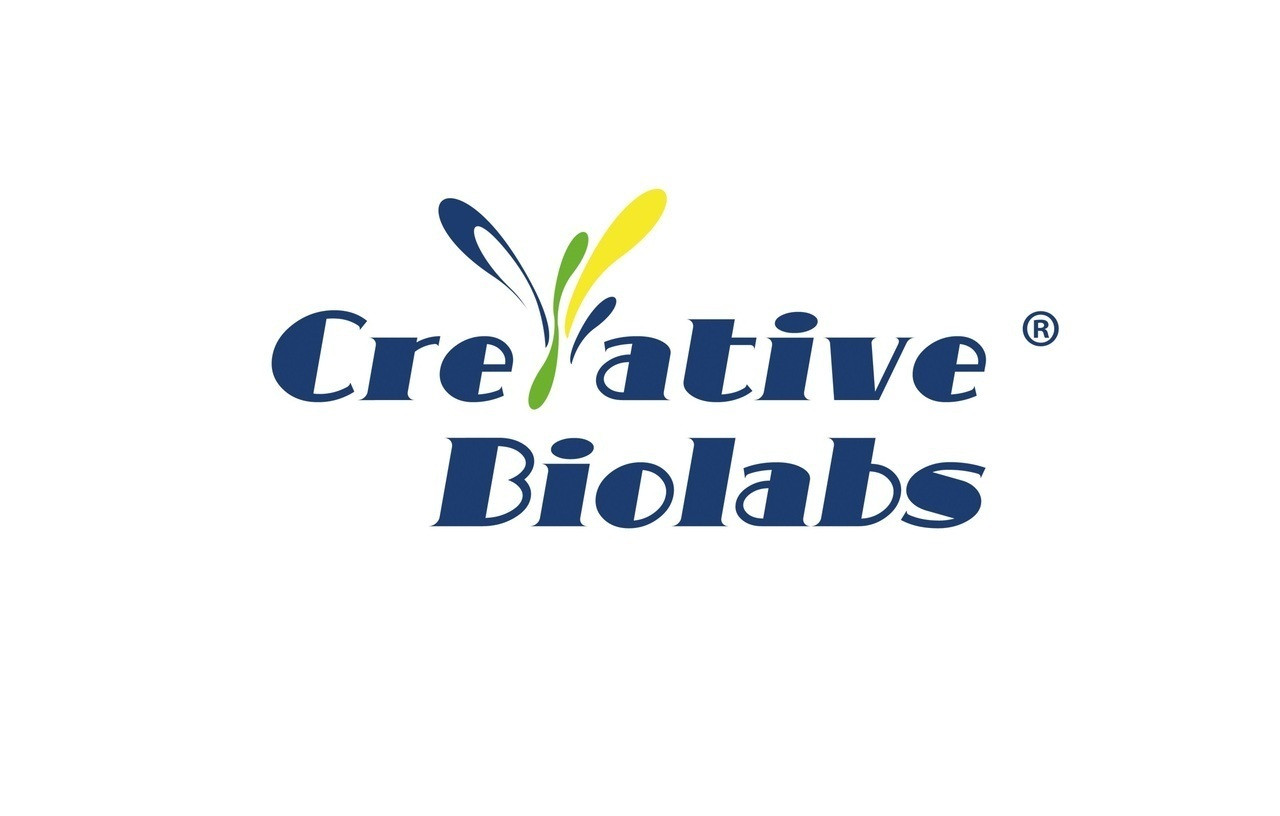 Recombinant ICOS Protein (Met1- Lys140) [His]