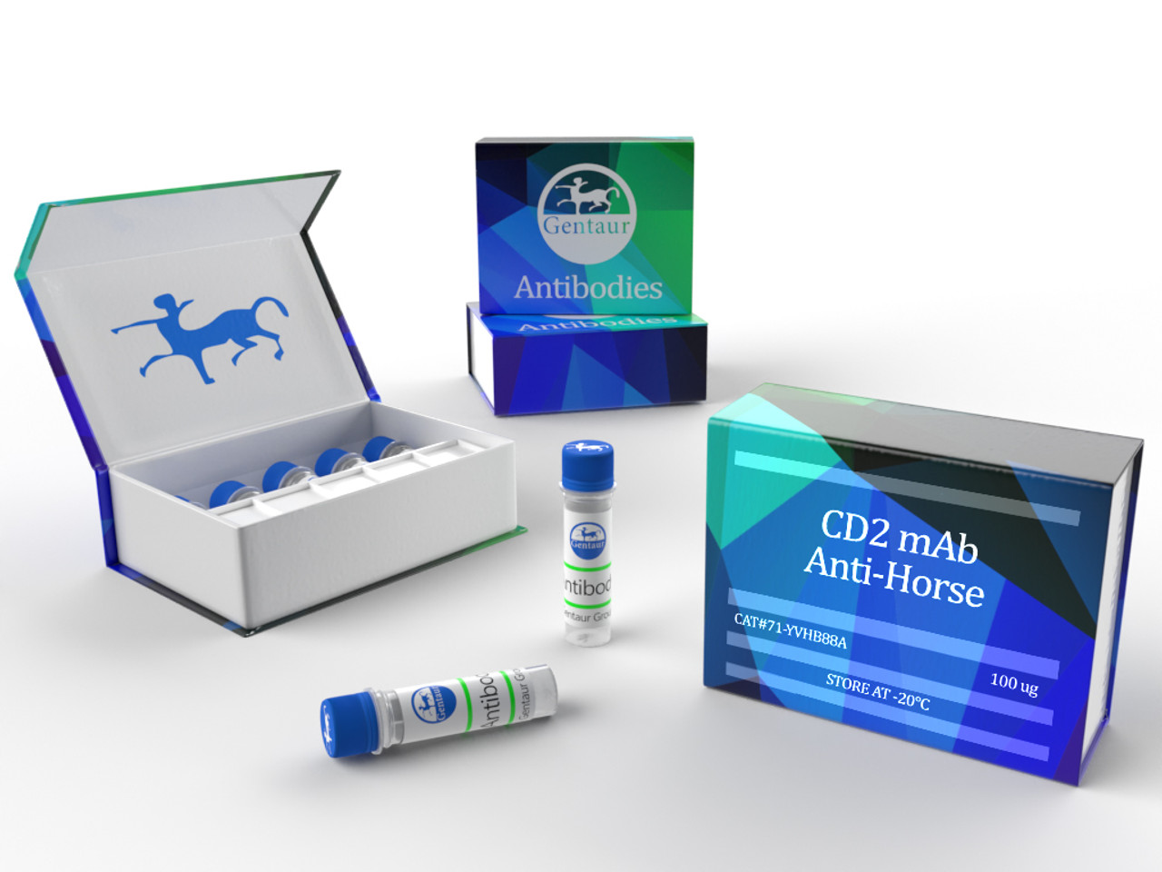 CD2 mAb Anti-Horse