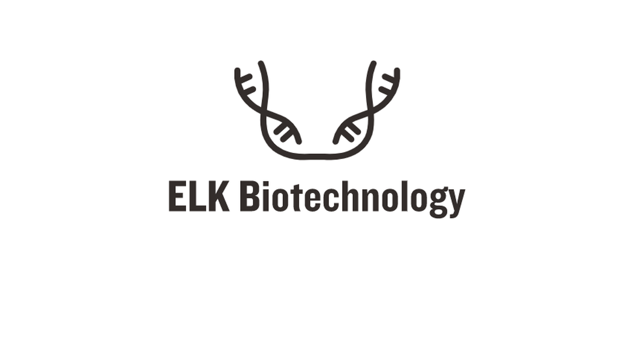 Human ECF (Eosinophil Chemotactic Factor) ELISA Kit