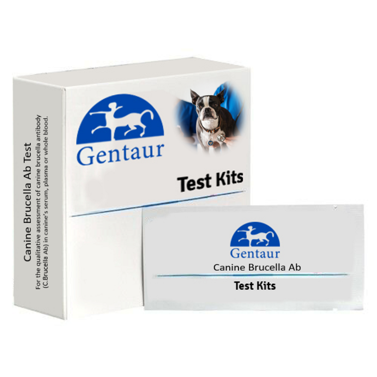 Canine Brucella Ab Test Kit