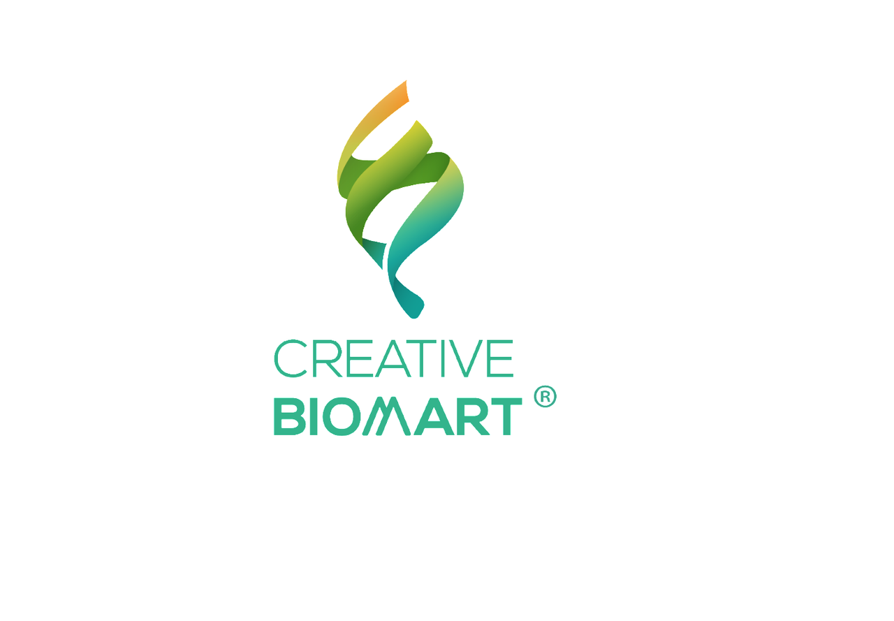 Recombinant Human C10orf54 Protein, Fc-tagged, Alexa Fluor 488 conjugated