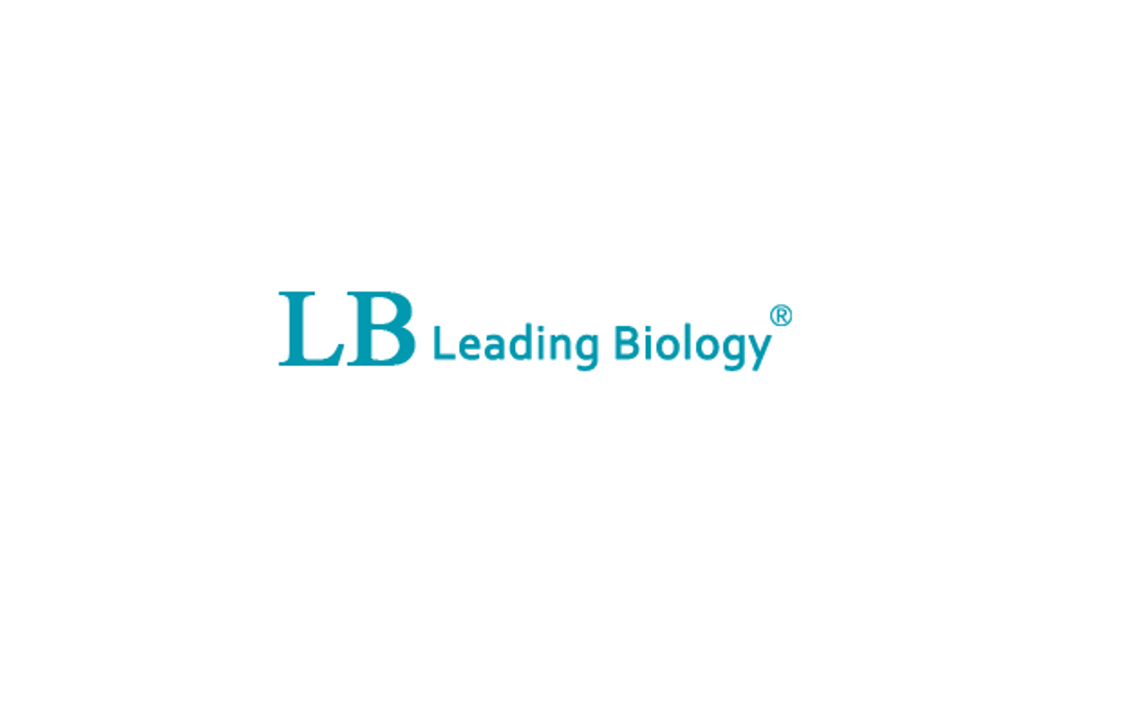 HLA-B Antibody (Center) [AMM05383G]