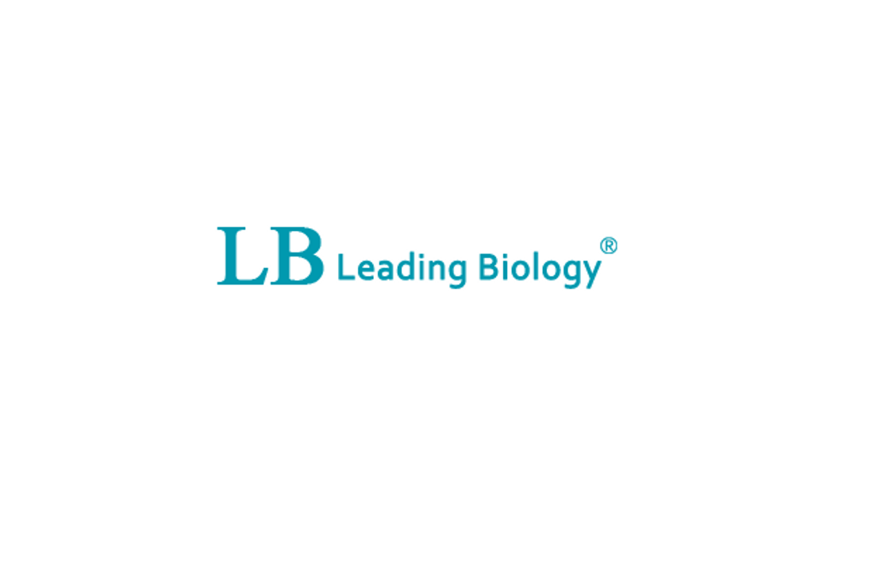 LDB3 Antibody (Center) [APR17180G]