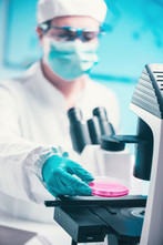 What contains a serum for cell culture ?