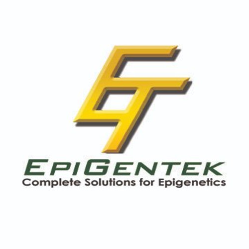 QuantiSir Specific Gene Knockdown Quantification Kit For Epigenetic Regulators - NSD1