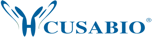 Recombinant Human Interleukin-36 beta protein(IL36B) (Active)