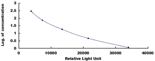 Human Immunoglobulin G (IgG)CLIA Kit