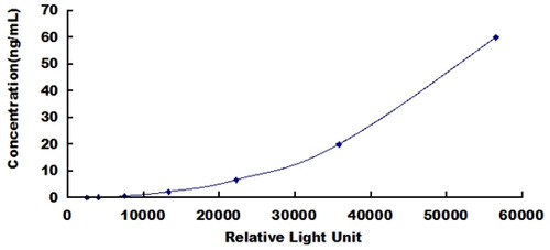 Human Tissue Inhibitors Of Metalloproteinase 3 (TIMP3)CLIA Kit
