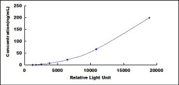 Rat Cartilage Oligomeric Matrix Protein (COMP)CLIA Kit