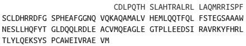 Pig Recombinant Interferon Alpha (IFNa)