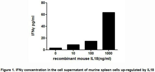 Mouse Active Interleukin 18 (IL18)