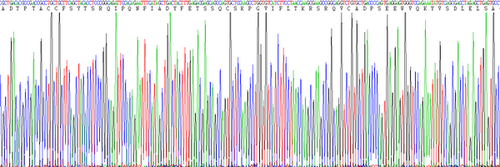 Human Eukaryotic Macrophage Inflammatory Protein 1 Alpha (MIP1a)